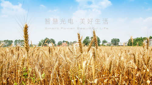 我國首部能源法正式問世、國家能源局/工信部最新通知、?支持企業(yè)引進光伏技術、虛擬電廠全電量參與現(xiàn)貨電能量交易出清…… - 拷貝