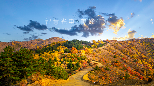 十二部門發(fā)布重要方案、國(guó)家能源局發(fā)布能源和綠證數(shù)據(jù)、廣東省發(fā)布虛擬電廠參與電力市場(chǎng)交易實(shí)施方案……