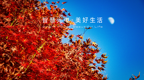 國(guó)家能源局發(fā)布指導(dǎo)意見和新批次名單、國(guó)家統(tǒng)計(jì)局解讀11月份CPI和PPI數(shù)據(jù)、?新一輪儲(chǔ)能政策頒布……