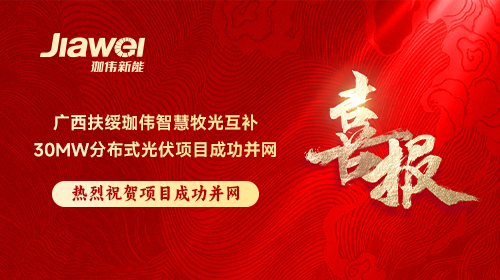 喜報 | 廣西扶綏珈偉智慧牧光互補30MW分布式光伏項目成功并網