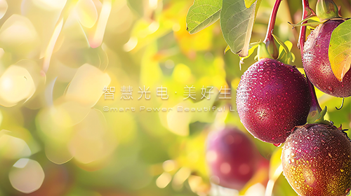 跨電網(wǎng)經(jīng)營區(qū)常態(tài)化電力交易機制方案復(fù)函、綠色金融支持項目目錄、入伏防暑要注意……